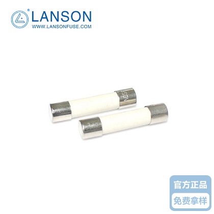 陶瓷保險絲管 6N2100A/B  6.35*32  10A  250V （延時型）